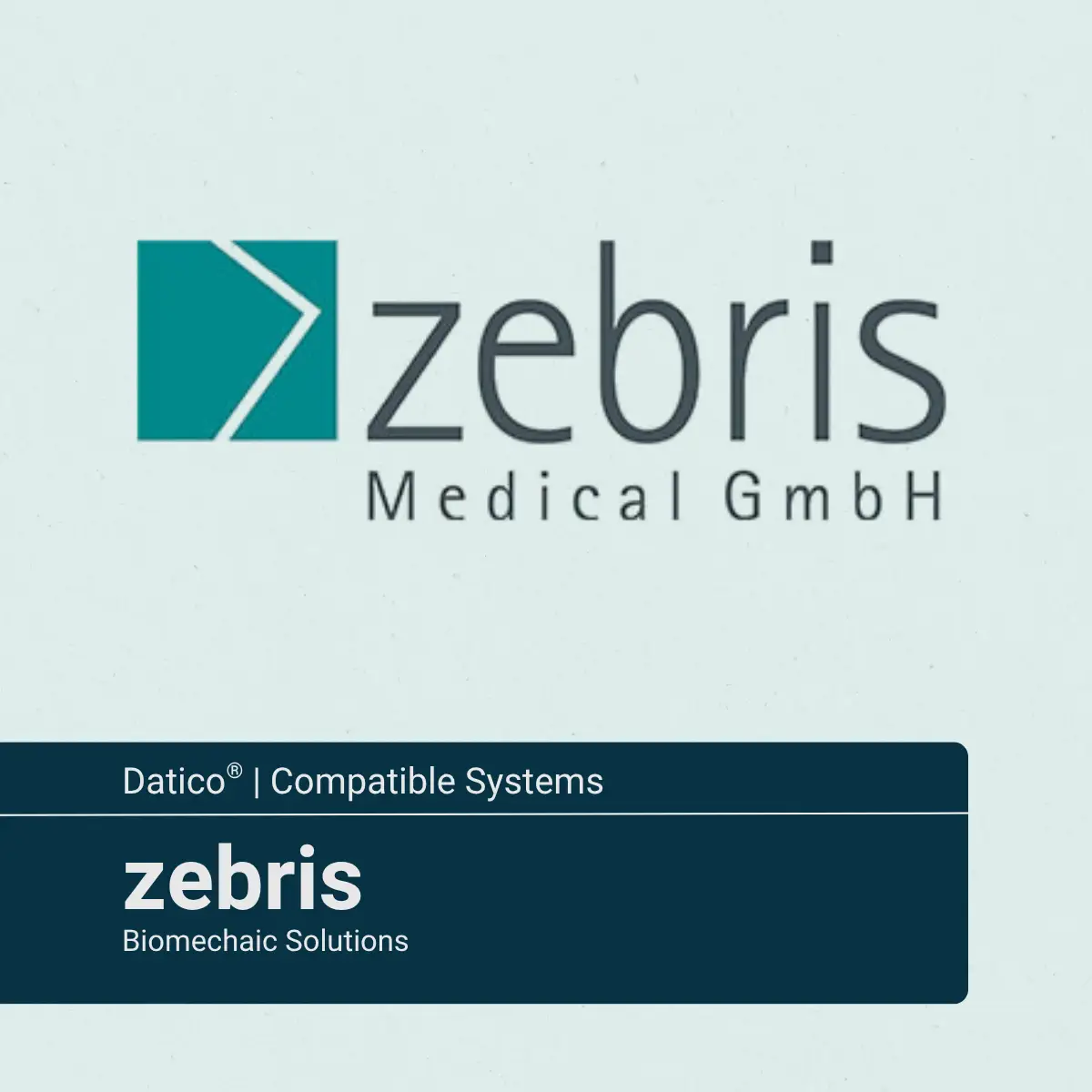 zebris